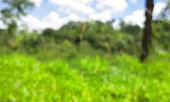 Imagem: Chacara de 1.000m2 em Betim