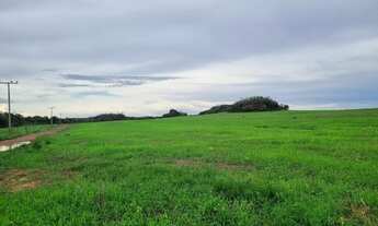 Imagem 7: Fazenda Goiás Cavalcante
