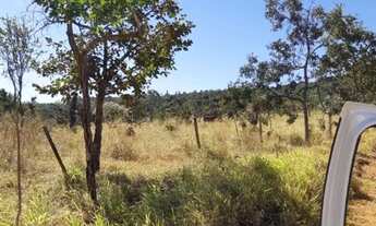 Imagem 3: A&M IMOVEIS VENDE EXLENTA CHACARA EM SOBRADINHO DF CO M 30HECTARES