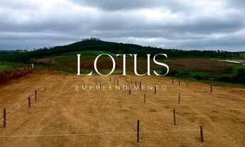 Imagem 4: COTIA COM PREÇOS PROMOCIONAIS