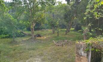 Imagem 5: Vende-se um excelente terreno!