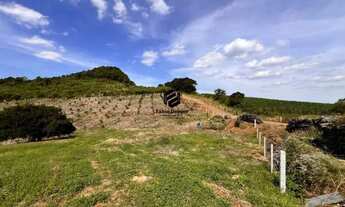 Imagem 7: Área de Terras à venda no Bairro Travessão em Dois Irmãos RS REF: 1649