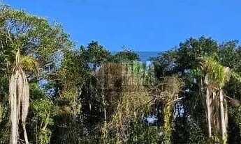 Imagem 5: More ou invista junto à natureza exuberante da ilha!