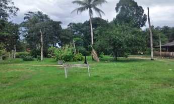 Imagem: Sítio 333 x 1.000 na BR 174 Ramal do Pau