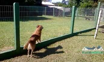 Imagem: Velleda oferece lindo sítio com estrutura