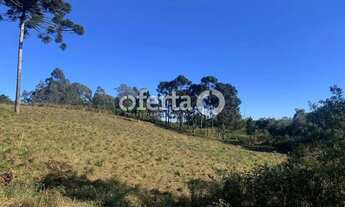 Imagem 3: Terreno no Costeira / Araucária - 23.222m2