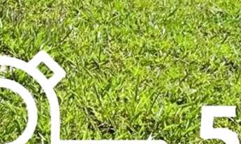 Imagem 3: Vende se terreno com documento ok