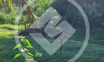 Imagem 4: SITIO - Jabuticaba codigo: 120076