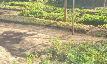 Imagem 7: Rural Chácara em São José do Rio Preto