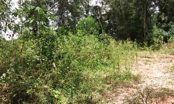 Imagem 6: Terreno em Paraju - Domingos Martins, 2.000 m²