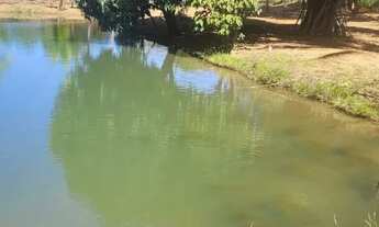 Imagem 7: Vendo chácara escriturada e registrada na embrapa