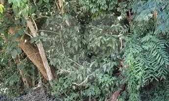 Imagem 4: Terreno à venda em Roseira - SP