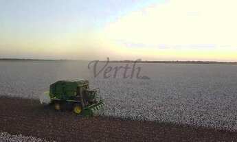 Imagem: Fazenda à Venda 3.300 ha Nova Mutum -MT