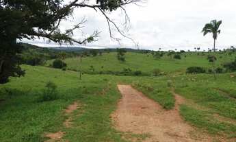 Imagem 4: Fazenda monta pecuária triângulo mineiro