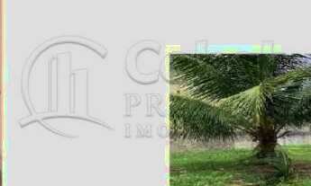 Imagem 3: Terreno de 1250m² no Bairro Siqueira Campos