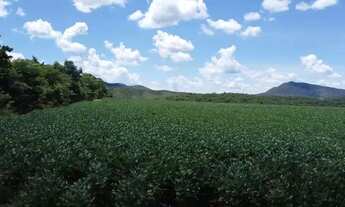 Imagem 6: Fazenda à venda em Vila Propício/GO com 1.452 Hectares