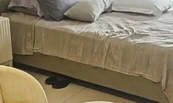 Imagem: Apto 3 suítes