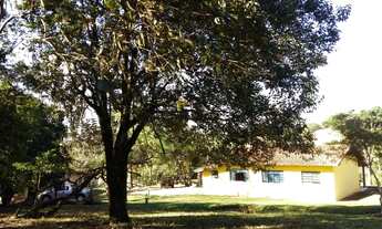 Imagem 4: Sítio em Artur Nogueira 42.200m2