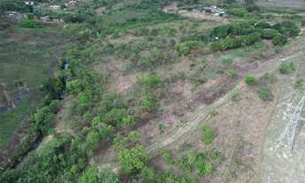 Imagem 2: Chácara 1 Hectare (10.000m2) às Margens da DF-290 - Entre Gama e Santa Maria