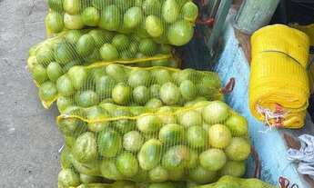 Imagem 2: Chácara de 1 alqueire mais 2 casas e 350 metros de rio no fundo