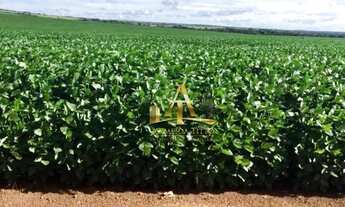 Imagem: Fazenda à Venda - Nova Mutum/MT