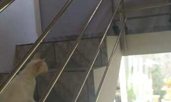 Imagem: Vendo belíssima casa na barra nova,com