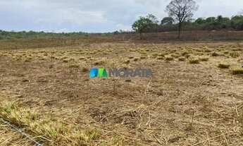 Imagem: FAZENDA À VENDA - 275 HECTARES - REGIÃO