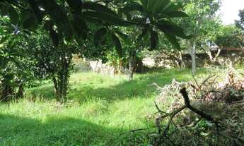 Imagem 4: EXCELENTE TERRENO