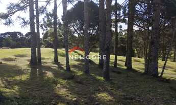 Imagem: Lote em Rua Leopoldo Stahnke - São Bernardo