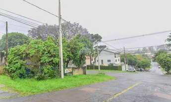 Imagem 6: Vendas Terreno Curitiba PR