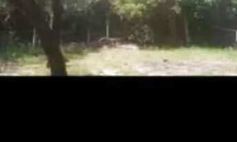 Imagem 2: Vendo sitio em águas claras