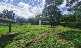 Imagem 7: Fazenda à Venda com 20 alqueires - Hidrolândia