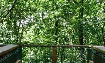 Imagem 3: Lote Plateau Dor Privilege 640,75M²