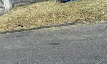 Imagem 2: Terreno plano documento todo ok 10x50 500m2 bairro alto