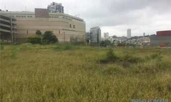 Imagem 2: AREA - ANÁLIA FRANCO - SP