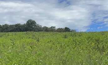 Imagem: Lotes para venda com 500 metros quadrados