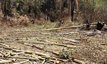 Imagem 4: TERRENO A VENDA DE 1000m DENTRO DE CONDOMINIO FECHADO-OPORTUNIDADE PRA INVESTIDOR