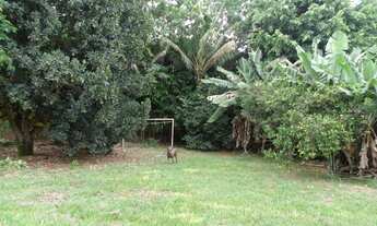 Imagem: Linda Chácara Dentro da Cidade não e área