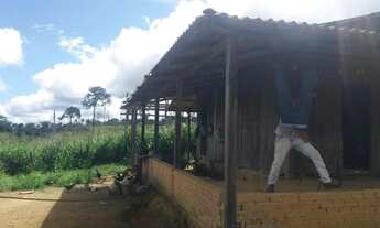 Imagem 2: Terra 20 Alqueires 11.000 por alqueires