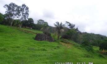 Imagem 5: 2166/Ótima fazenda de 260 ha em Além Paraíba MG