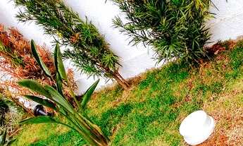 Imagem 6: Cobertura duplex de 208m², 4 dorm, 2 suítes, 3 vagas - Vila Matilde