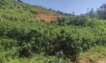 Imagem 5: Ótimas Chácaras em Marmelópolis- Sul de Minas Gerais