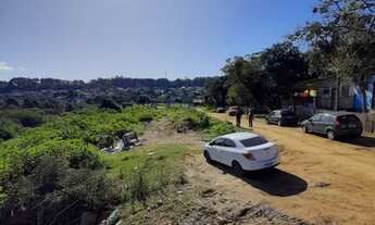 Imagem 3: Lote/Terreno para venda tem 14000 metros quadrados em São Tomé - Viamão - RS