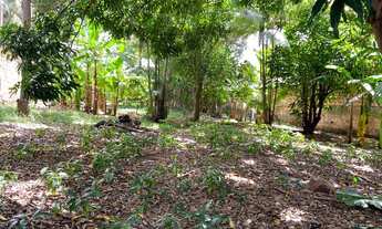 Imagem 4: VENDO LOTE - São Jorge