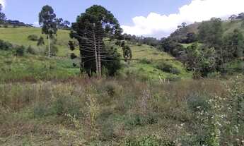 Imagem 3: Terreno Contendo 6,65 Hectares Rico Em Água A 7 Km De Marmelópolis - Sul De Minas Gerais