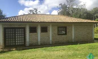 Imagem 5: FLORIANóPOLIS - Sítio - Ratones