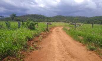 Imagem 2: Vende-se uma excelente fazenda de 74 Alqueires