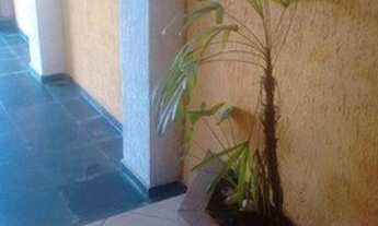 Imagem 5: Sobrado com 3 dormitórios à sendo 1 suite venda, 118 m² por R$ 529.999 - Butantã - São Pa