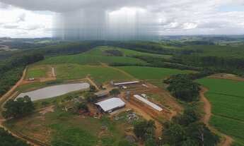 Imagem: FAZENDA TOP PRODUTIVA, DIRETO COM O PROPRIETÁRIO