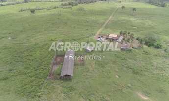 Imagem 5: Fazenda no Pará - Mãe do Rio - PA